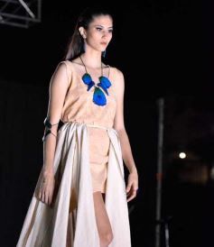 Foto de la galería: Los 50 años del IPLyC: en Posadas se vivió a pura fiesta familiar, música y muchos sorteos