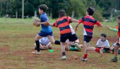 Foto de la galería: Semillero local: Lomas recibió un nuevo encuentro de rugby infantil en Posadas