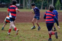 Foto de la galería: Semillero local: Lomas recibió un nuevo encuentro de rugby infantil en Posadas