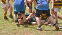 Foto de la galería: Semillero local: Lomas recibió un nuevo encuentro de rugby infantil en Posadas