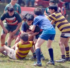 Foto de la galería: Semillero local: Lomas recibió un nuevo encuentro de rugby infantil en Posadas