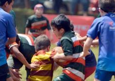 Foto de la galería: Semillero local: Lomas recibió un nuevo encuentro de rugby infantil en Posadas
