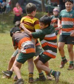 Foto de la galería: Semillero local: Lomas recibió un nuevo encuentro de rugby infantil en Posadas
