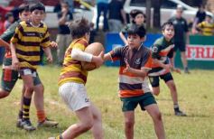Foto de la galería: Semillero local: Lomas recibió un nuevo encuentro de rugby infantil en Posadas