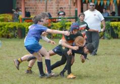 Foto de la galería: Semillero local: Lomas recibió un nuevo encuentro de rugby infantil en Posadas