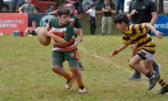 Foto de la galería: Semillero local: Lomas recibió un nuevo encuentro de rugby infantil en Posadas