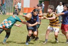 Foto de la galería: Semillero local: Lomas recibió un nuevo encuentro de rugby infantil en Posadas