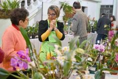 Foto de la galería: Orquídeas en flor volvieron a copar una nueva Expo en Posadas