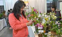 Foto de la galería: Orquídeas en flor volvieron a copar una nueva Expo en Posadas