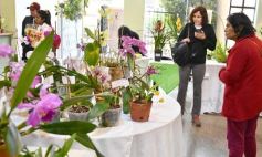 Foto de la galería: Orquídeas en flor volvieron a copar una nueva Expo en Posadas