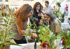 Foto de la galería: Orquídeas en flor volvieron a copar una nueva Expo en Posadas