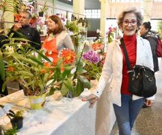 Foto de la galería: Orquídeas en flor volvieron a copar una nueva Expo en Posadas