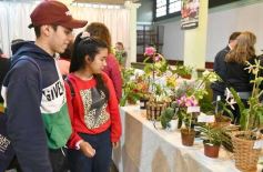 Foto de la galería: Orquídeas en flor volvieron a copar una nueva Expo en Posadas