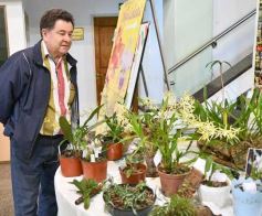Foto de la galería: Orquídeas en flor volvieron a copar una nueva Expo en Posadas