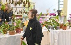 Foto de la galería: Orquídeas en flor volvieron a copar una nueva Expo en Posadas