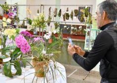 Foto de la galería: Orquídeas en flor volvieron a copar una nueva Expo en Posadas