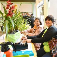 Foto de la galería: Orquídeas en flor volvieron a copar una nueva Expo en Posadas