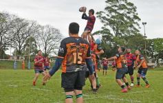 Foto de la galería: A puro Rugby: los "Classics" de Centro de Cazadores homenajearon al consagrado Carmelo Rodríguez