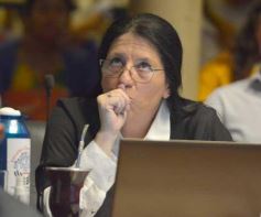 Foto de la galería: Por unanimidad: Diputados aprobaron la Ley de Presupuesto para el 2023