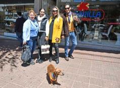 Foto de la galería: Cerró octubre con un varieté de recorridas y encuentros que volvieron a copar la ciudad