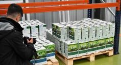 Foto de la galería: Gestión ambiental: Herrera Ahuad y Cabandié recorrieron el Parque Industrial de Posadas