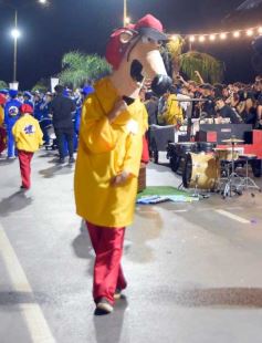 Foto de la galería: Estudiantina: otras postales que dejó la cuarta noche en la costanera