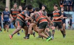 Foto de la galería: Capri festejó en casa con los campeones del M-16 de Rugby