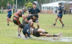 Foto de la galería: Capri festejó en casa con los campeones del M-16 de Rugby