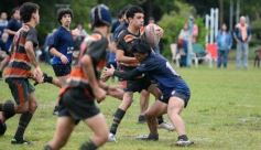 Foto de la galería: Capri festejó en casa con los campeones del M-16 de Rugby