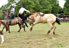 Foto de la galería: Domas y mucho chamamé: el domingo familiar se vivió en el Campo Nosiglia de Posadas