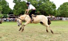Foto de la galería: Domas y mucho chamamé: el domingo familiar se vivió en el Campo Nosiglia de Posadas