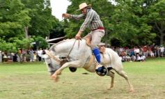 Foto de la galería: Domas y mucho chamamé: el domingo familiar se vivió en el Campo Nosiglia de Posadas