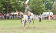 Foto de la galería: Domas y mucho chamamé: el domingo familiar se vivió en el Campo Nosiglia de Posadas