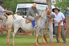 Foto de la galería: Domas y mucho chamamé: el domingo familiar se vivió en el Campo Nosiglia de Posadas