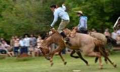 Foto de la galería: Domas y mucho chamamé: el domingo familiar se vivió en el Campo Nosiglia de Posadas