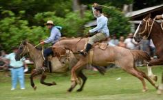Foto de la galería: Domas y mucho chamamé: el domingo familiar se vivió en el Campo Nosiglia de Posadas