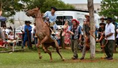 Foto de la galería: Domas y mucho chamamé: el domingo familiar se vivió en el Campo Nosiglia de Posadas