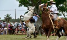 Foto de la galería: Domas y mucho chamamé: el domingo familiar se vivió en el Campo Nosiglia de Posadas