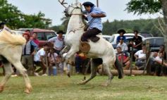 Foto de la galería: Domas y mucho chamamé: el domingo familiar se vivió en el Campo Nosiglia de Posadas