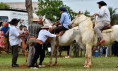 Foto de la galería: Domas y mucho chamamé: el domingo familiar se vivió en el Campo Nosiglia de Posadas