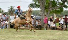Foto de la galería: Domas y mucho chamamé: el domingo familiar se vivió en el Campo Nosiglia de Posadas