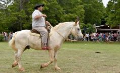 Foto de la galería: Domas y mucho chamamé: el domingo familiar se vivió en el Campo Nosiglia de Posadas