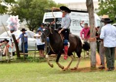 Foto de la galería: Domas y mucho chamamé: el domingo familiar se vivió en el Campo Nosiglia de Posadas