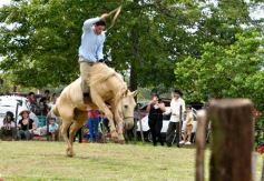 Foto de la galería: Domas y mucho chamamé: el domingo familiar se vivió en el Campo Nosiglia de Posadas