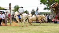Foto de la galería: Domas y mucho chamamé: el domingo familiar se vivió en el Campo Nosiglia de Posadas