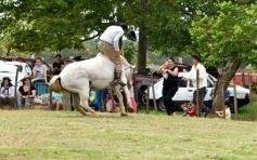 Foto de la galería: Domas y mucho chamamé: el domingo familiar se vivió en el Campo Nosiglia de Posadas