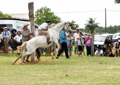 Foto de la galería: Domas y mucho chamamé: el domingo familiar se vivió en el Campo Nosiglia de Posadas