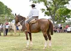Foto de la galería: Domas y mucho chamamé: el domingo familiar se vivió en el Campo Nosiglia de Posadas