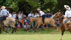 Foto de la galería: Domas y mucho chamamé: el domingo familiar se vivió en el Campo Nosiglia de Posadas