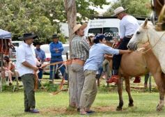 Foto de la galería: Domas y mucho chamamé: el domingo familiar se vivió en el Campo Nosiglia de Posadas